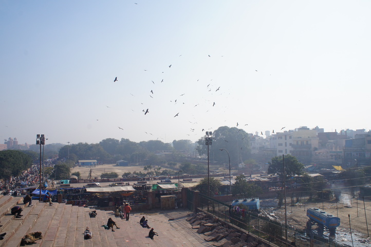 2013-01-10 11-03-31 SONY NEX-C3 DSC06310