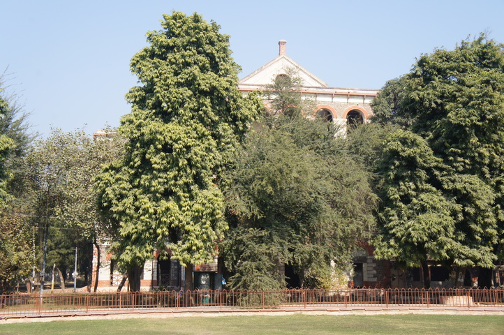 2013-01-10 12-13-33 SONY NEX-C3 DSC06401