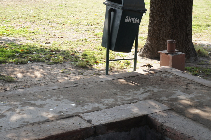 2013-01-10 12-59-17 SONY NEX-C3 DSC06443