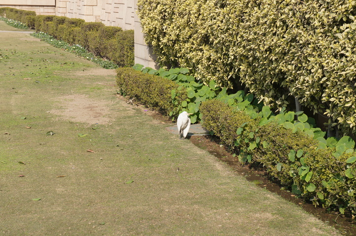 2013-01-10 14-07-36 SONY NEX-C3 DSC06458