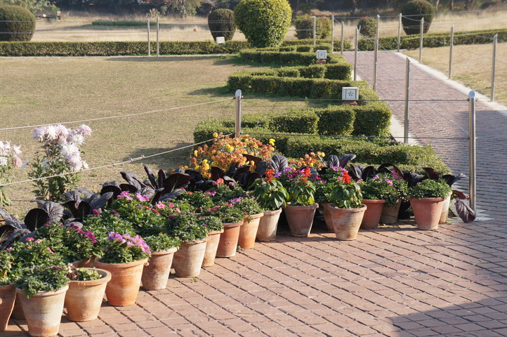 2013-01-11 15-27-35 SONY NEX-C3 DSC06475