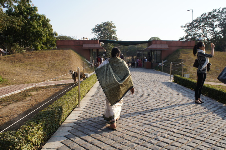 2013-01-11 15-51-43 SONY NEX-C3 DSC06483