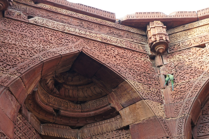 2013-01-12 15-37-03 SONY NEX-C3 DSC06618