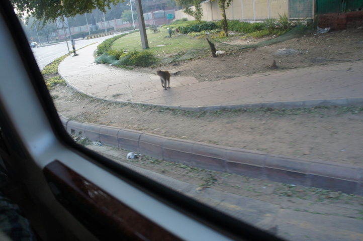 2013-01-12 16-37-28 SONY NEX-C3 DSC06633