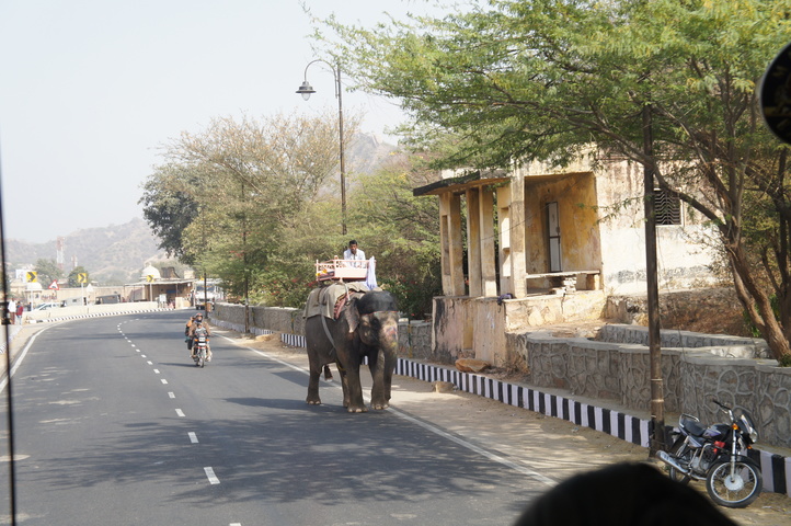 2013-01-13 11-29-22 SONY NEX-C3 DSC06730