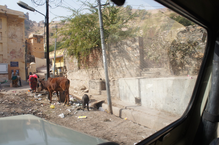 2013-01-13 11-44-47 SONY NEX-C3 DSC06756