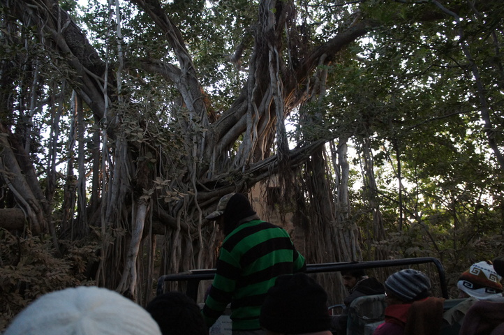 2013-01-14 07-34-09 SONY NEX-C3 DSC06909