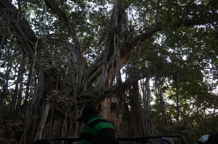 2013-01-14 07-34-15 SONY NEX-C3 DSC06910