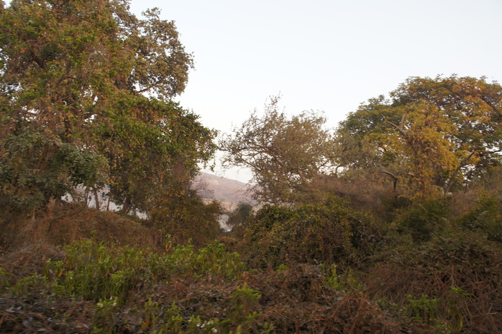 2013-01-14 07-36-00 SONY NEX-C3 DSC06911