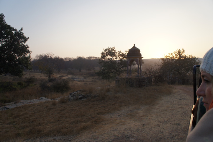 2013-01-14 07-37-49 SONY NEX-C3 DSC06913