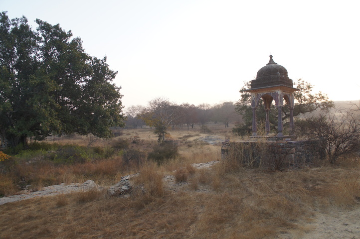 2013-01-14 07-37-52 SONY NEX-C3 DSC06914