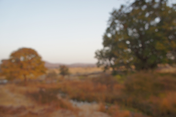 2013-01-14 07-38-03 SONY NEX-C3 DSC06915