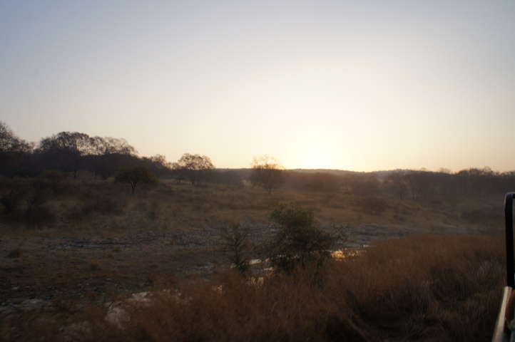 2013-01-14 07-38-07 SONY NEX-C3 DSC06916