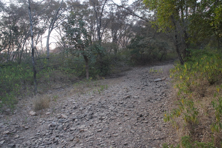 2013-01-14 07-39-29 SONY NEX-C3 DSC06918