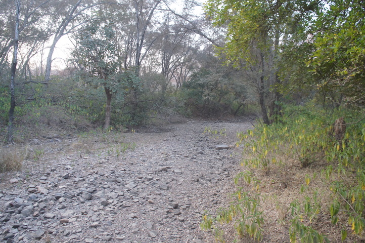 2013-01-14 07-39-31 SONY NEX-C3 DSC06919