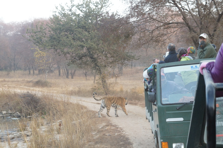 2013-01-14 07-47-50 SONY NEX-C3 DSC06921