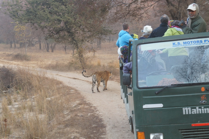 2013-01-14 07-47-51 SONY NEX-C3 DSC06922