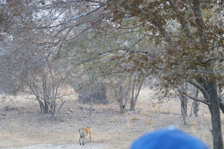 2013-01-14 07-48-15 SONY NEX-C3 DSC06923