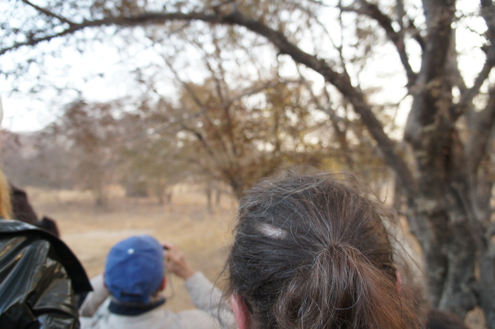 2013-01-14 07-48-39 SONY NEX-C3 DSC06926