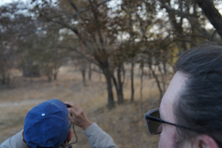 2013-01-14 07-48-43 SONY NEX-C3 DSC06927