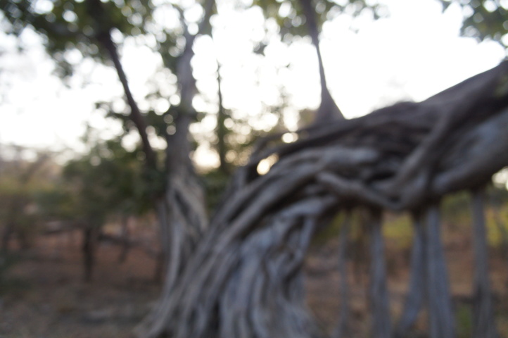 2013-01-14 07-54-30 SONY NEX-C3 DSC06929