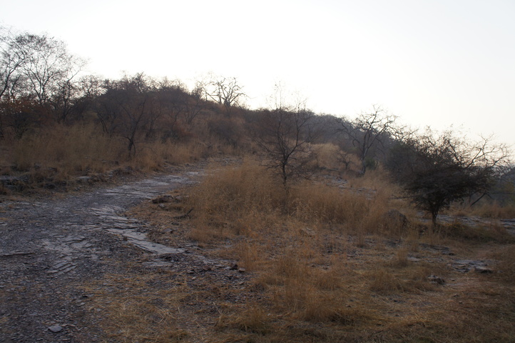 2013-01-14 07-54-48 SONY NEX-C3 DSC06930