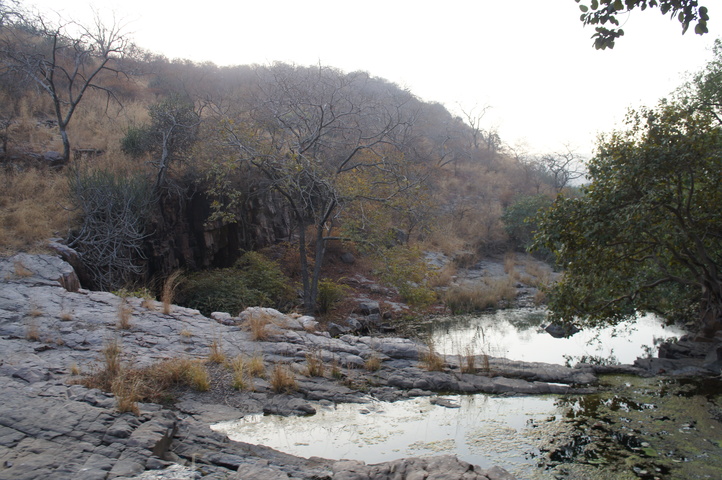 2013-01-14 07-54-58 SONY NEX-C3 DSC06932