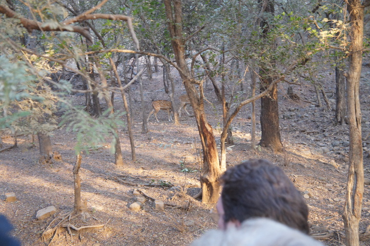 2013-01-14 08-00-16 SONY NEX-C3 DSC06933