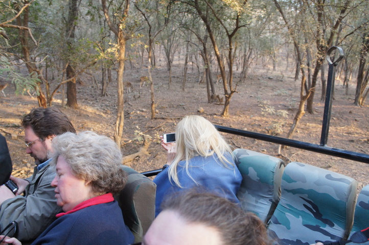 2013-01-14 08-00-47 SONY NEX-C3 DSC06938