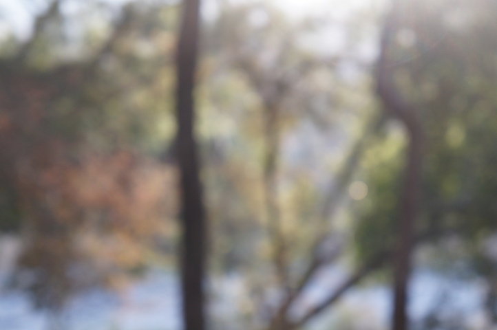 2013-01-14 08-20-15 SONY NEX-C3 DSC06940