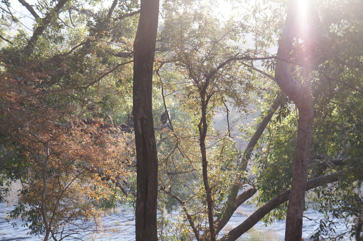 2013-01-14 08-20-17 SONY NEX-C3 DSC06941