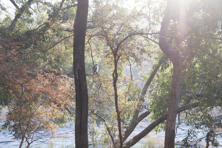 2013-01-14 08-22-26 SONY NEX-C3 DSC06943