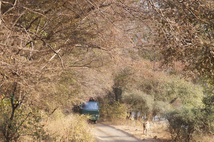 2013-01-14 08-27-19 SONY NEX-C3 DSC06949