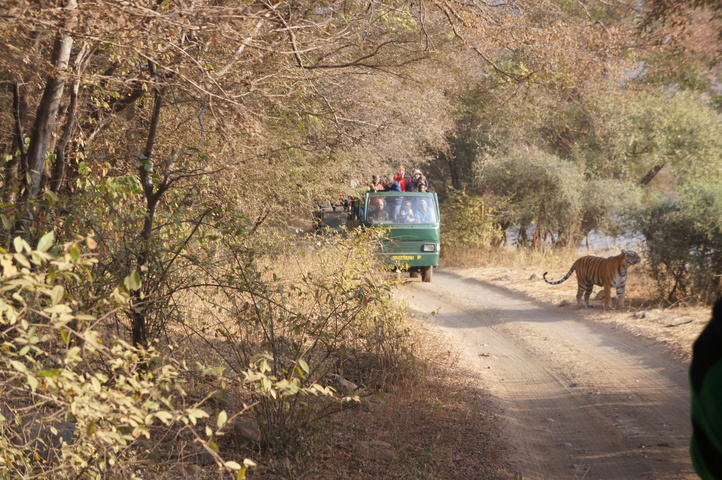 2013-01-14 08-27-24 SONY NEX-C3 DSC06950