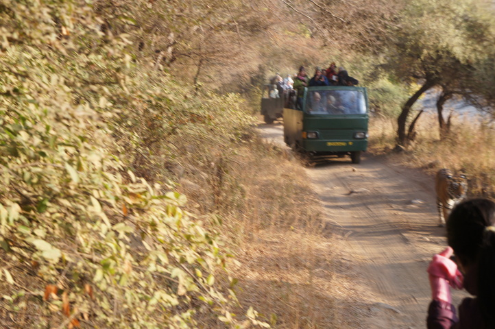 2013-01-14 08-28-05 SONY NEX-C3 DSC06951