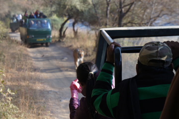 2013-01-14 08-28-06 SONY NEX-C3 DSC06952