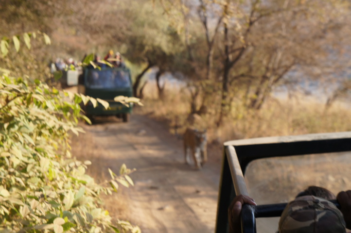 2013-01-14 08-28-10 SONY NEX-C3 DSC06953