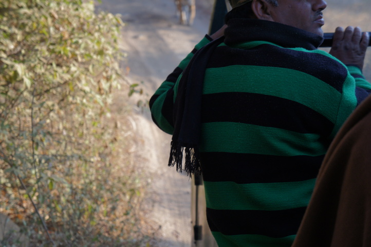 2013-01-14 08-28-13 SONY NEX-C3 DSC06954