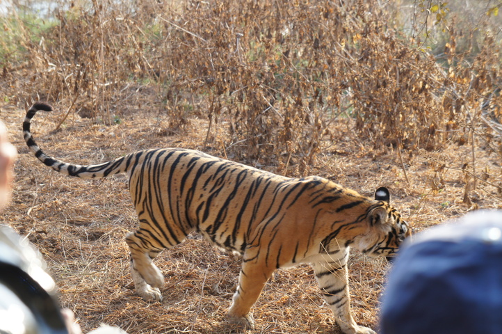 2013-01-14 08-29-13 SONY NEX-C3 DSC06957