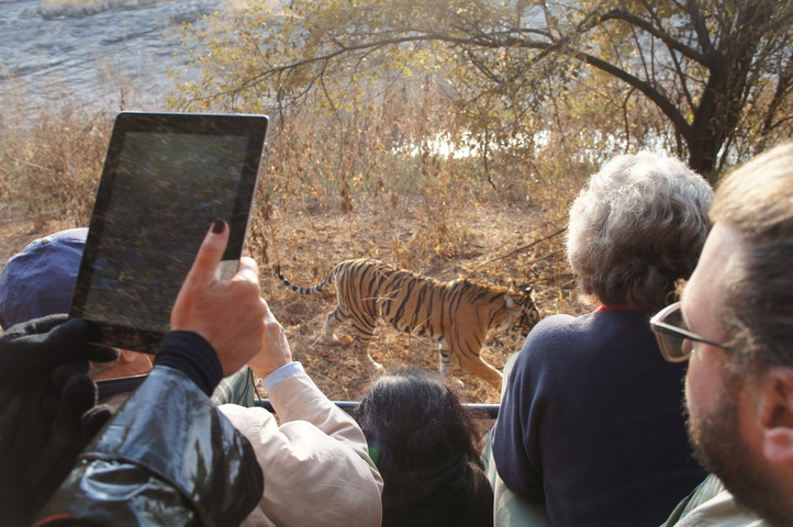 2013-01-14 08-29-17 SONY NEX-C3 DSC06958