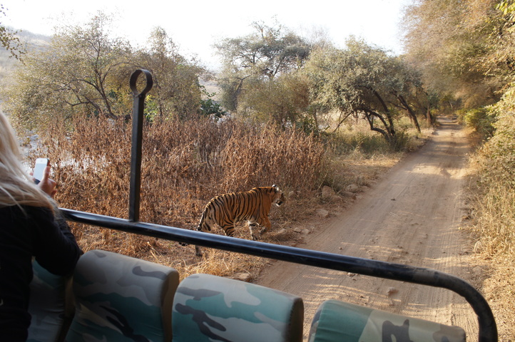 2013-01-14 08-29-24 SONY NEX-C3 DSC06960