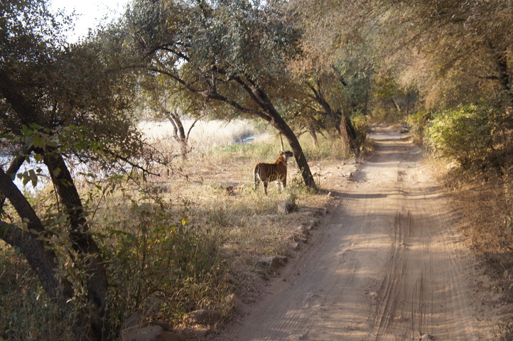 2013-01-14 08-30-01 SONY NEX-C3 DSC06963