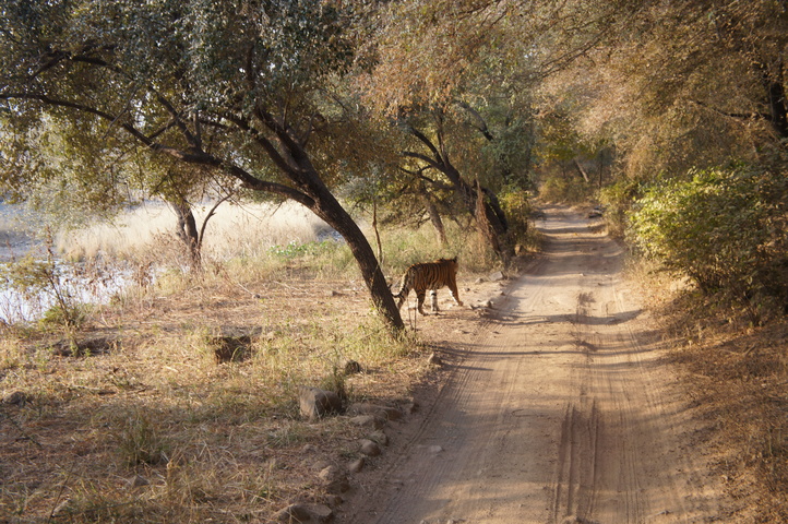 2013-01-14 08-30-08 SONY NEX-C3 DSC06964