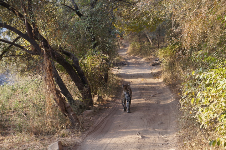 2013-01-14 08-30-21 SONY NEX-C3 DSC06966