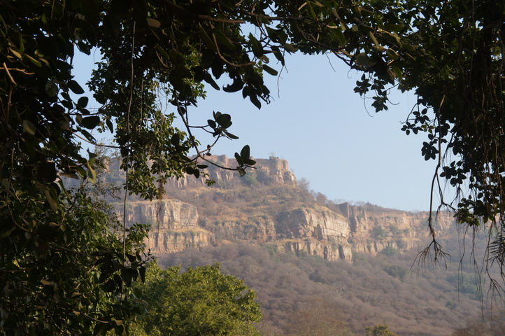 2013-01-14 08-33-39 SONY NEX-C3 DSC06968