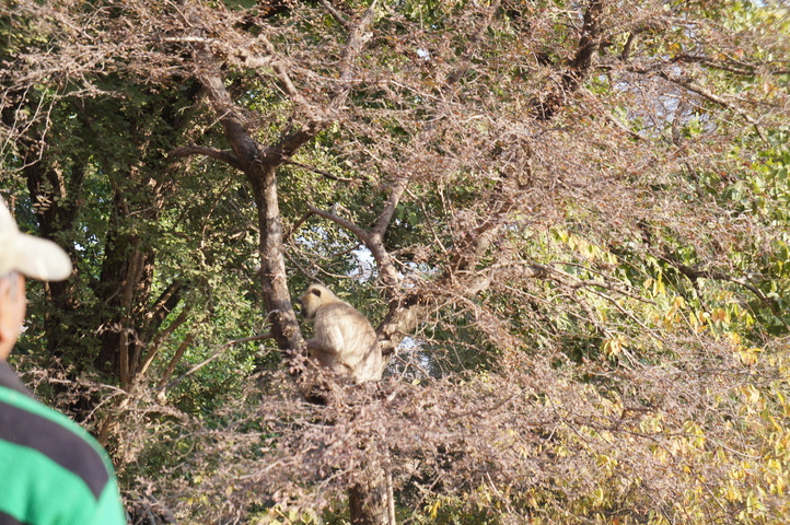 2013-01-14 08-44-18 SONY NEX-C3 DSC06972