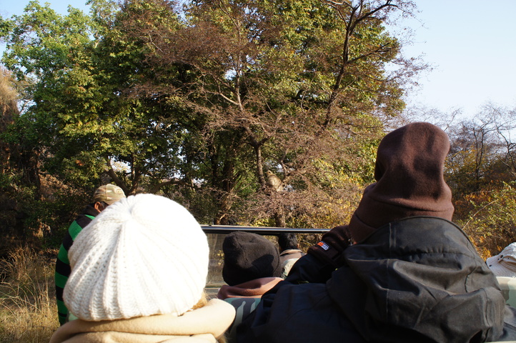 2013-01-14 08-44-26 SONY NEX-C3 DSC06974