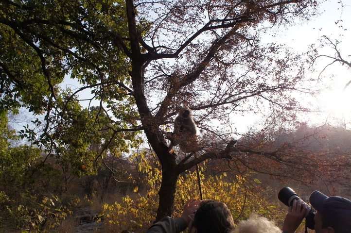 2013-01-14 08-45-26 SONY NEX-C3 DSC06976