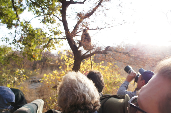 2013-01-14 08-45-32 SONY NEX-C3 DSC06977