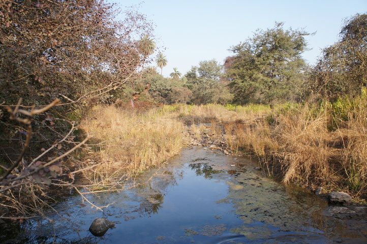 2013-01-14 08-47-25 SONY NEX-C3 DSC06978